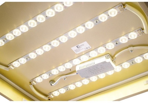 Накладной светильник Zortes Gabby ZRS.1215.03 в Нижнем Новгороде фото 4