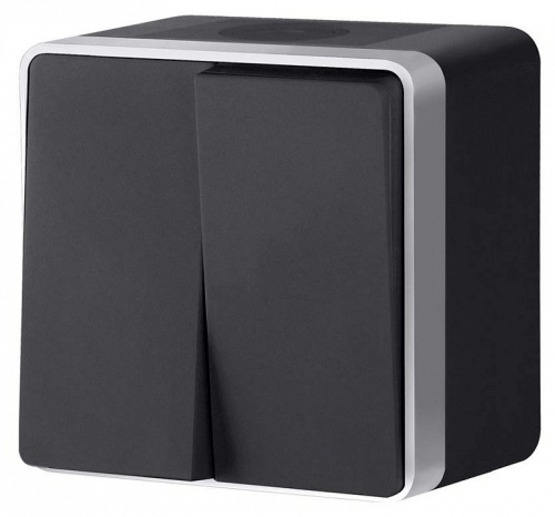 Выключатель двухклавишный влагозащищенный Werkel Gallant (черный с серебром) W5020234 в Нижнем Новгороде