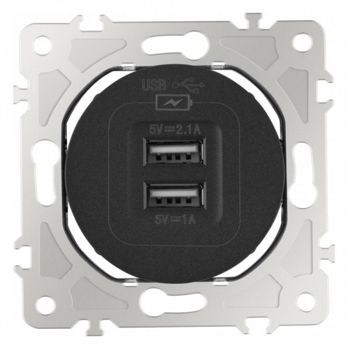 Розетка USB, без рамки Arte Milano am-202 202.46-1.black в Нижнем Новгороде