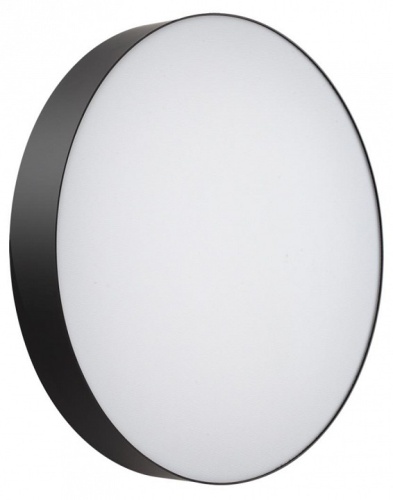 Накладной светильник Sonex BASICA 7780/ELN в Нижнем Новгороде