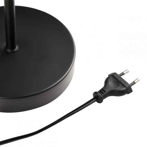 Торшер с подсветкой Lumion Kaya 8042/2F в Нижнем Новгороде фото 2