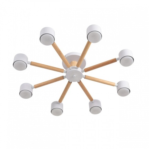 Люстра на штанге Lumion VUDI 8306/8C в Нижнем Новгороде фото 4