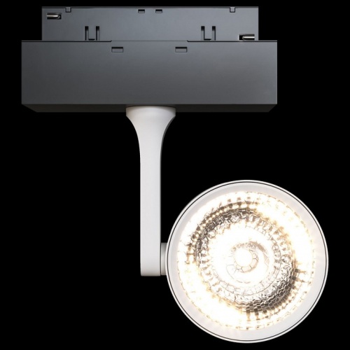 Светильник на штанге Maytoni Track lamps 3 TR024-2-10W4K в Дудинке фото 3