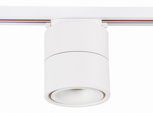 Светильник на штанге ST-Luce ST652 ST652.546.12 в Нижнем Новгороде фото 2