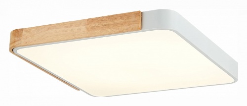 Накладной светильник EVOLUCE Festa SLE201252-01 в Нижнем Новгороде фото 2