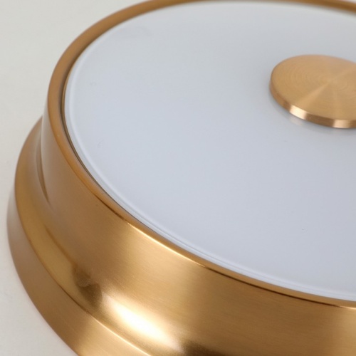 Накладной светильник Favourite Pannikin 2375-2C в Нижнем Новгороде фото 2