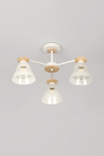 Люстра на штанге Rivoli Theothila Б0068434 в Нижнем Новгороде фото 8