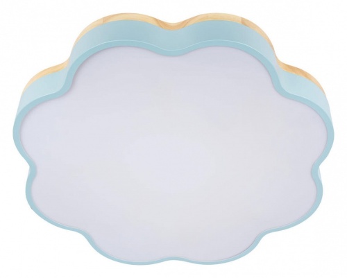 Накладной светильник Loft it Axel 10225/36 Blue в Нижнем Новгороде фото 6