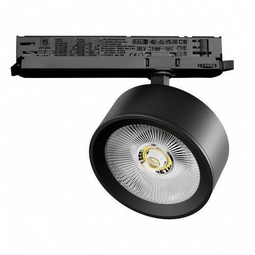 Светильник на штанге Lightstar Alta Pro A5647DALI в Нижнем Новгороде фото 3