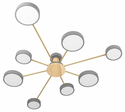 Потолочная люстра Loft it Sunrise 10316/8 Grey в Нижнем Новгороде фото 5