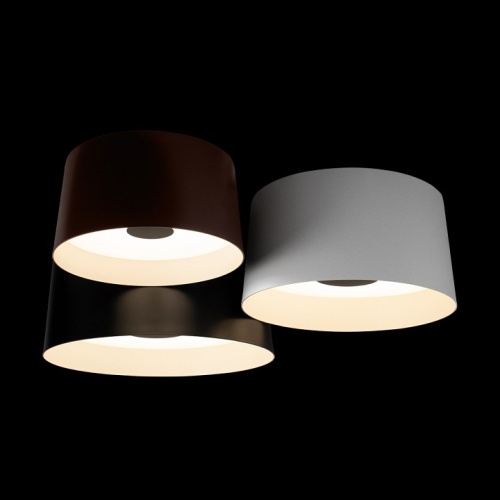 Потолочная люстра Loft it Duo 10360/3 в Нижнем Новгороде фото 4