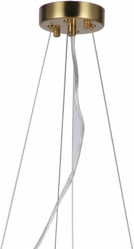 Подвесная люстра Favourite Philomela 3054-8P в Нижнем Новгороде фото 2