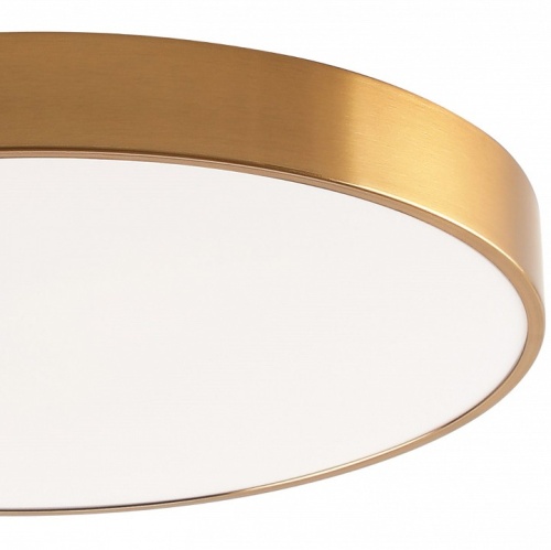 Накладной светильник Zortes Tortty ZRS.02566.96 в Нижнем Новгороде фото 2