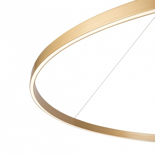 Подвесной светильник Maytoni Rim MOD058PL-L65BSK в Нижнем Новгороде фото 3