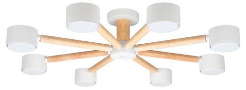 Потолочная люстра Arte Lamp TENDA A1624PL-8WH в Нижнем Новгороде