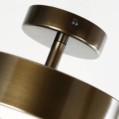 Светильник на штанге F-promo Atma 3060-2P в Нижнем Новгороде фото 4