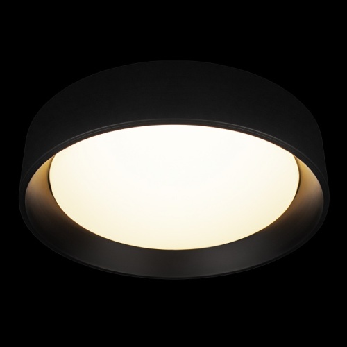 Накладной светильник Loft it Coin 10202 BB в Нижнем Новгороде фото 4