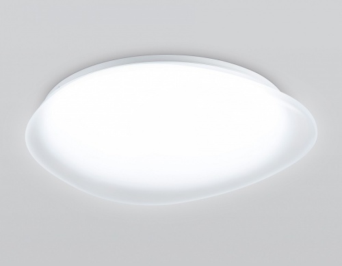 Накладной светильник Ambrella Light ORBITAL FZ1605 в Нижнем Новгороде фото 8