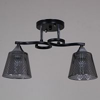 Светильник на штанге 06089-0.3-02 BK+CR в Нижнем Новгороде