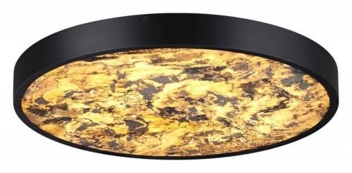 Накладной светильник Odeon Light Bergi 5064/40L в Нижнем Новгороде фото 11