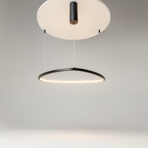 Подвесной светильник Maytoni Glint MOD072PL-L28B3K в Нижнем Новгороде фото 9