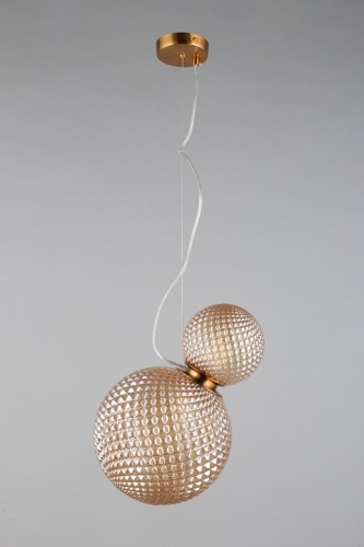 Подвесной светильник Aployt Patunia APL.301.16.02 в Нижнем Новгороде фото 5