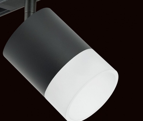 Светильник на штанге Lightstar Rullo PRO348781 в Нижнем Новгороде фото 2