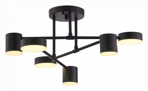 Потолочная люстра EVOLUCE Nobel SLE201042-06 в Нижнем Новгороде фото 5