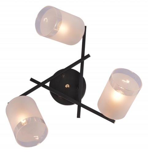 Люстра на штанге Rivoli Fiona Б0059259 в Нижнем Новгороде фото 4