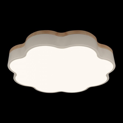 Накладной светильник Loft it Axel 10225/36 White в Нижнем Новгороде фото 4