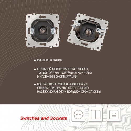 ТВ-розетка без рамки Arte Milano am-203 203.42-1.shampan в Нижнем Новгороде фото 2