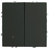 Выключатель двухклавишный с подсветкой без рамки Stekker Эмили 49838 в Нижнем Новгороде