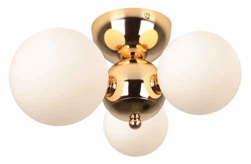 Потолочная люстра Rivoli Liviana Б0066413 в Нижнем Новгороде фото 4