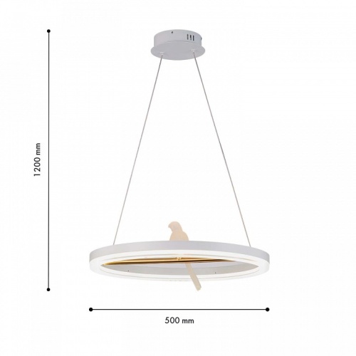 Подвесной светильник F-promo Bardy 4653-1P в Нижнем Новгороде фото 3