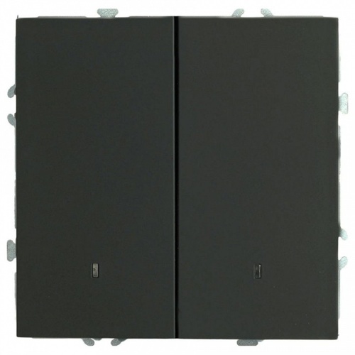 Выключатель двухклавишный с подсветкой без рамки Stekker Эмили 49838 в Нижнем Новгороде