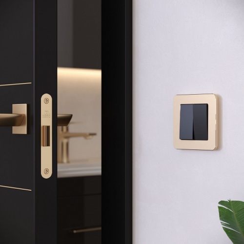 Рамка на 1 пост Werkel Platinum (шампань) W0012611 в Нижнем Новгороде фото 3