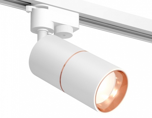 Светильник на штанге Ambrella Light XT XT6301030 в Нижнем Новгороде