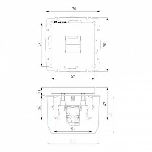 Розетка телефонная RJ-11 Werkel  WL08-RJ-11 в Нижнем Новгороде фото 2