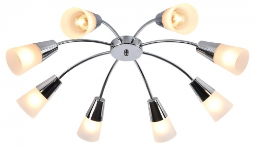 Потолочная люстра Escada Aquilegia 1100/8P Chrome в Нижнем Новгороде