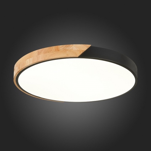 Накладной светильник EVOLUCE Festa SLE200942-01 в Нижнем Новгороде фото 12