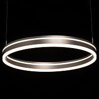 Подвесной светильник De City Платлинг 661019401 в Нижнем Новгороде