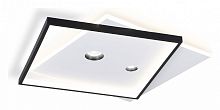 Накладной светильник Ambrella Light FL FL5065 в Нижнем Новгороде