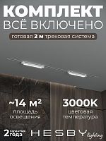 Комплект трековый Hesby Lighting Skylite №1 HSBL_kompl_S001_VI2W3K в Нижнем Новгороде