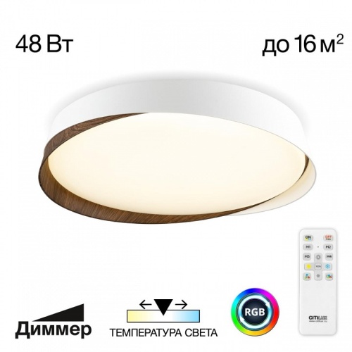Накладной светильник Citilux BONNY CL754350G в Новороссийске фото 8