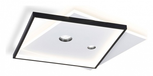 Накладной светильник Ambrella Light FL FL5065 в Нижнем Новгороде