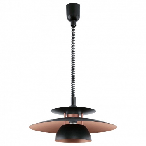 Подвесной светильник Eglo Brenda 31666 в Нижнем Новгороде фото 2