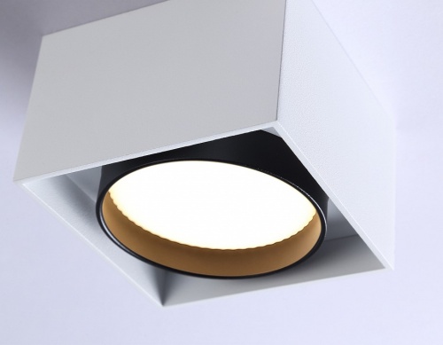 Накладной светильник Ambrella Light TN TN70865 в Нижнем Новгороде фото 5