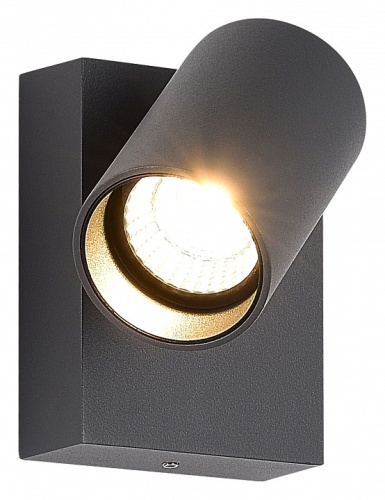 Светильник на штанге ST-Luce Deck SL9515.701.01 в Нижнем Новгороде фото 4