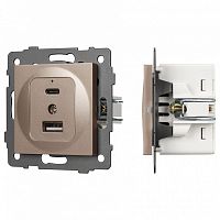 Механизм розетки 2хUSB type A и C Arlight SCT 049841 в Нижнем Новгороде