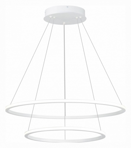 Подвесной светильник ST-Luce ST604 OUT ST604.543.56 в Нижнем Новгороде фото 2